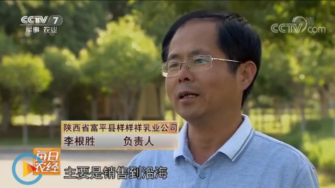 《每日農(nóng)經(jīng)》 20180710 關中奶山羊 致富喜洋洋